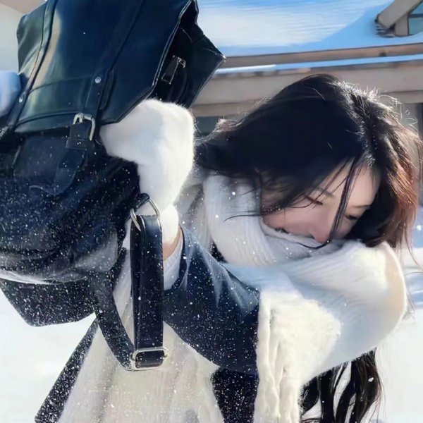 登楼叹